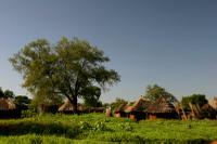 Mukuni Village 1
